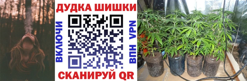 наркотики  Чулым  Шишки марихуана MAZAR 